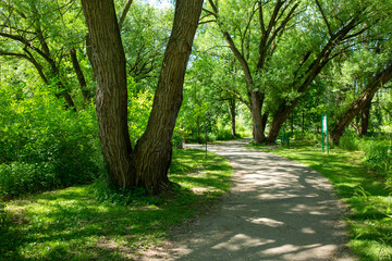 Park bench along city limestone pathway. 
