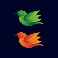 Two different colorful birds with blue background [Converted]