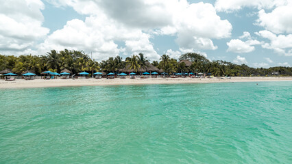 caribbean coast with palm trees from the turquoise water