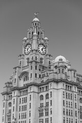 world-famous royal liver building in Liverpool, England, UK. 
Build-in 1911 & once Europe's tallest building, this iconic office tower bears domes & clock.