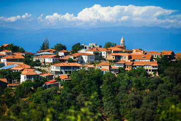 Fototapeta na wymiar Panoramic view of the city with orange roofs