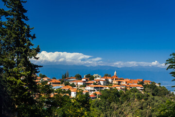 Panoramic view of the city with orange roofs