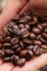 coffee beans in the coffee shop