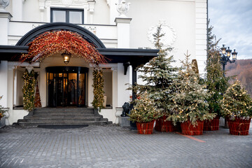 House with row of decorated Christmas trees in pots