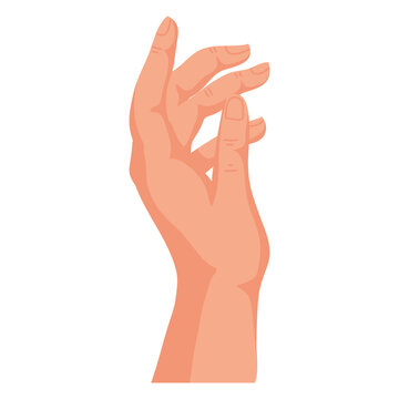 hand human up