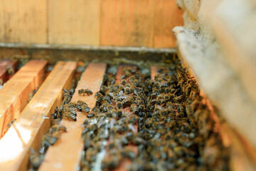 Honey bees fly near a wooden hive. Worker bees. Apiculture