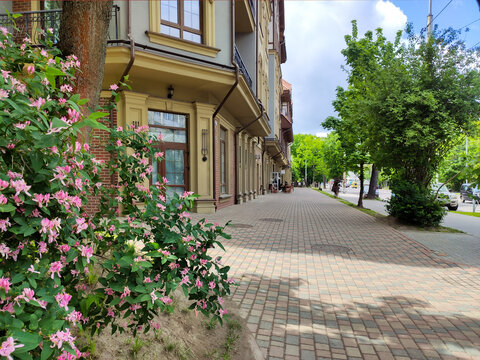Amalienau district in Kaliningrad. Street, cafe, flowers and trees on a sunny day