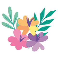 flowers garden and leafs