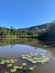 lake and mountains