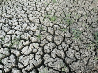 dry crack soil texture in country Thailand