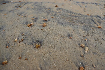 black sand, white sand and rocks. Texture of black sand and white sand for background