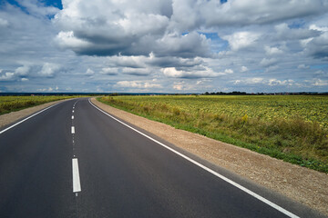 Aerial view of empty intercity road between green agricultural fields. Top view from drone of highway roadway