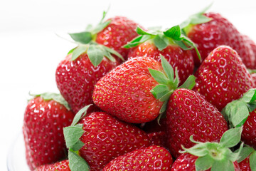 採れたて新鮮イチゴ