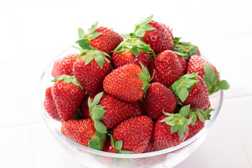 採れたて新鮮イチゴ