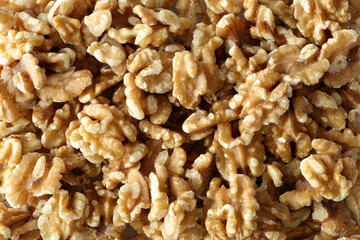 クルミのイメージテクスチャ