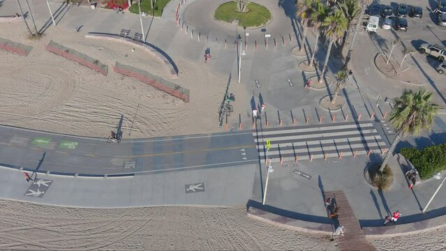 Aerial Footage Of People Walking And Riding Bikes On A Smooth Bike Path At The Beach Surrounded By Lush Green Palm Trees And Silky Brown Sand At Santa Monica Beach In Santa Monica California USA