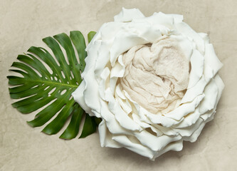 big white flower as digital backdrop or background for newborn baby photography, newborn photo setup and decorations