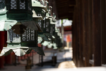 Obraz na płótnie Canvas Kasuga Taisha Shrine in Nara Prefecture