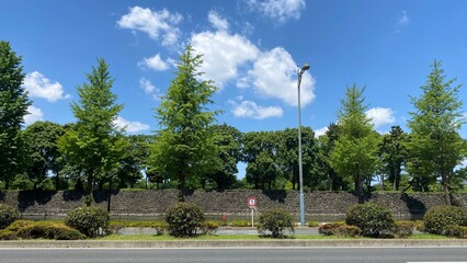 Obraz premium Blue sky and the imperial palace stone walls with trees, sunny daytime year 2022 June 4th morning 