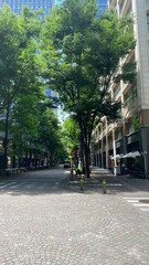 The street and sidewalks of Tokyo central, Marunouchi streets around the Tokyo station, full in summer greenery, filled with sunny sunlights, fresh morning year 2022 June 4th
