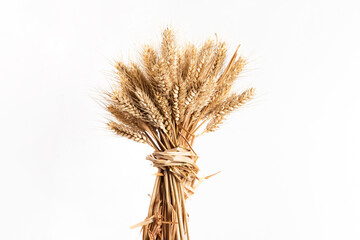 Ears of wheat isolated on white background - obrazy, fototapety, plakaty