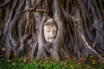 Wat Phra Mahathat temple with head statue trapped in bodhi tree in Phra Nakhon Si Ayutthaya, Thailand