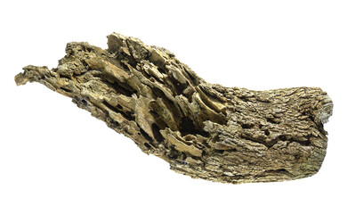 Piece of well worn oak driftwood isolated on a white background