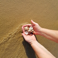 Female wet hands holding a bunch of seashells over the wet sand in the sea surf. Sunny day on the beach. Summertime or vacation theme