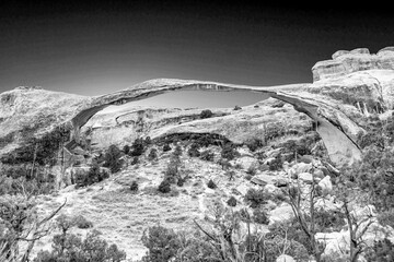longest arch on the planet - the Landscape Arch in Arches National Park, Utah.