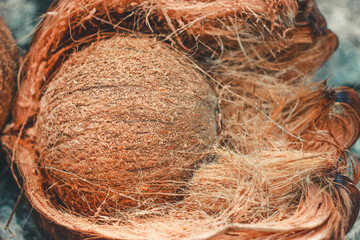 Coconut Shell with Exocarp | the edible fruit of the coconut palm (Cocos nucifera), a tree of the palm family. Coconut flesh is high in fat and can be dried or eaten fresh or processed into coconut m	