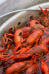 Spicy Louisiana Boiled Crawfish