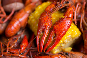 Spicy Louisiana Boiled Crawfish