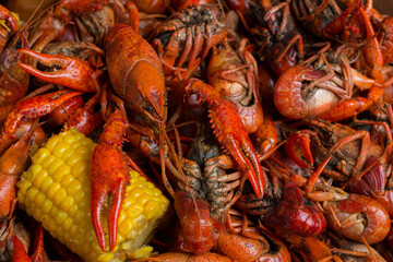 Spicy Louisiana Boiled Crawfish