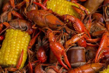 Spicy Louisiana Boiled Crawfish