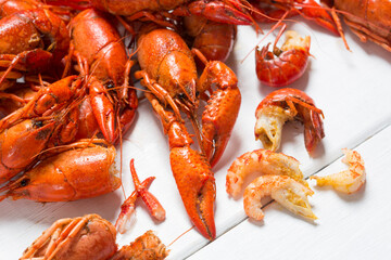 Boiled Crawfish on a White Background