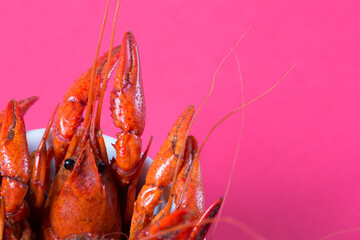 Spicy Louisiana Boiled Crawfish