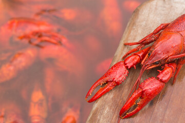 Spicy Louisiana Hot Boiled Crawfish