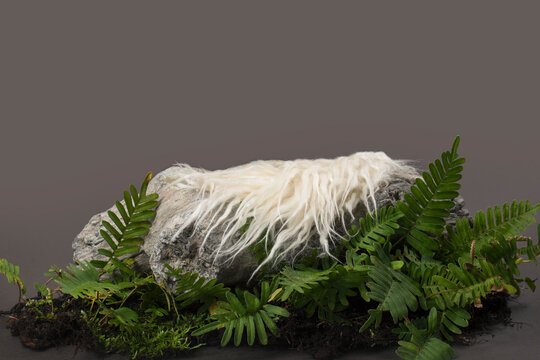 Newborn Digital Background Fur With Log and Fern