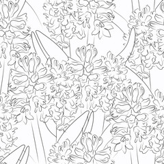 Seamless vector pattern with hand-drawn hyacinth flowers