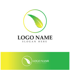 aloe vera logo design icon vector
