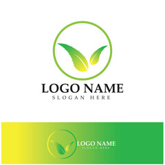 aloe vera logo design icon vector
