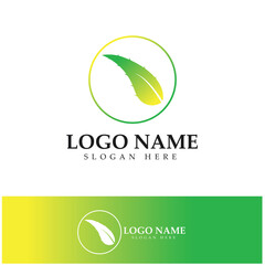 aloe vera logo design icon vector