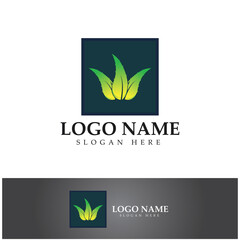 aloe vera logo design icon vector