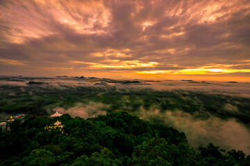 high mountain nature background that can see the scenery around, the fog covers the trees in a blur, the cool air, the beauty of the ecosystem