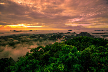 high mountain nature background that can see the scenery around, the fog covers the trees in a blur, the cool air, the beauty of the ecosystem