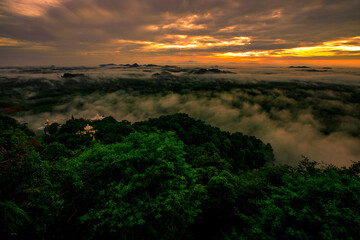 high mountain nature background that can see the scenery around, the fog covers the trees in a blur, the cool air, the beauty of the ecosystem