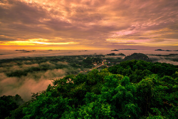 high mountain nature background that can see the scenery around, the fog covers the trees in a blur, the cool air, the beauty of the ecosystem