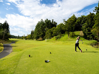 ナイスショット