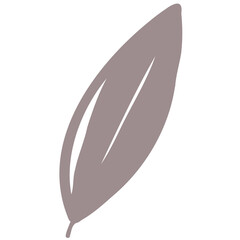 Hand drawn abstract organic leaf. Doodle botanical elements illustration.