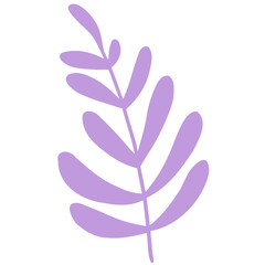 Hand drawn abstract organic leaf. Doodle botanical elements illustration.